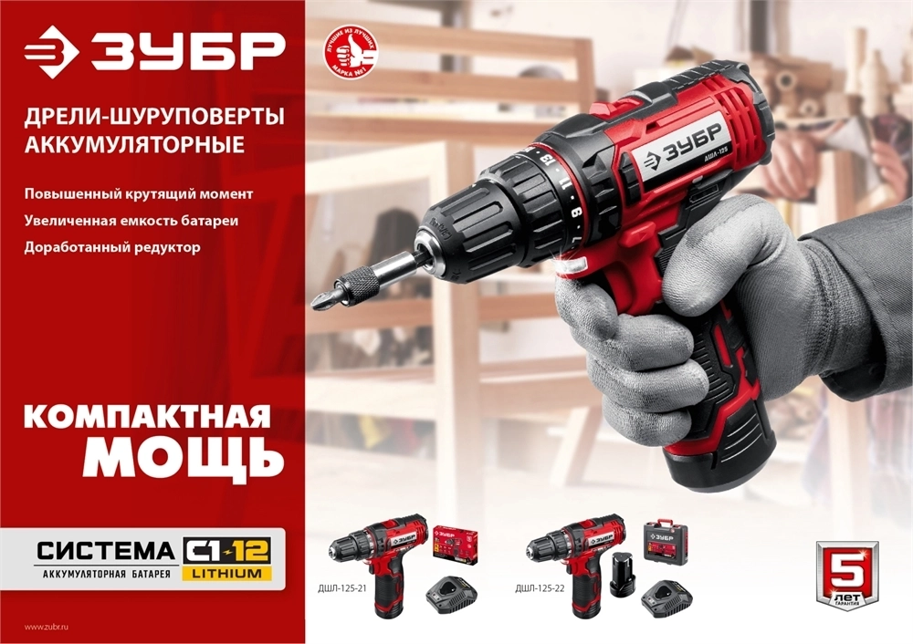 ЗУБР  С1-12, 12 В, 30 Н·м, 2 АКБ (2 А·ч), дрель-шуруповерт, кейс (ДШЛ-125-22) ДШЛ-125-22