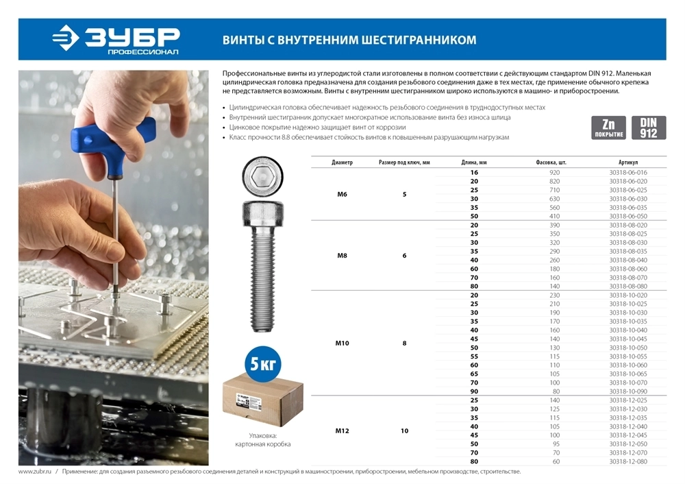 ЗУБР  DIN 912, кл. пр. 8.8, М10 х 40 мм, цинк, 5 кг, винт с внутренним шестигранником, Профессионал (30318-10-040) 30318-10-040