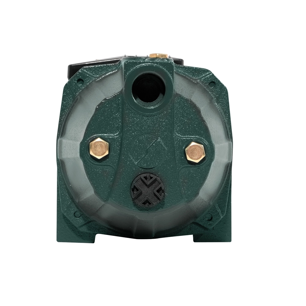 Поверхностный насос P 60/37С oasis 399