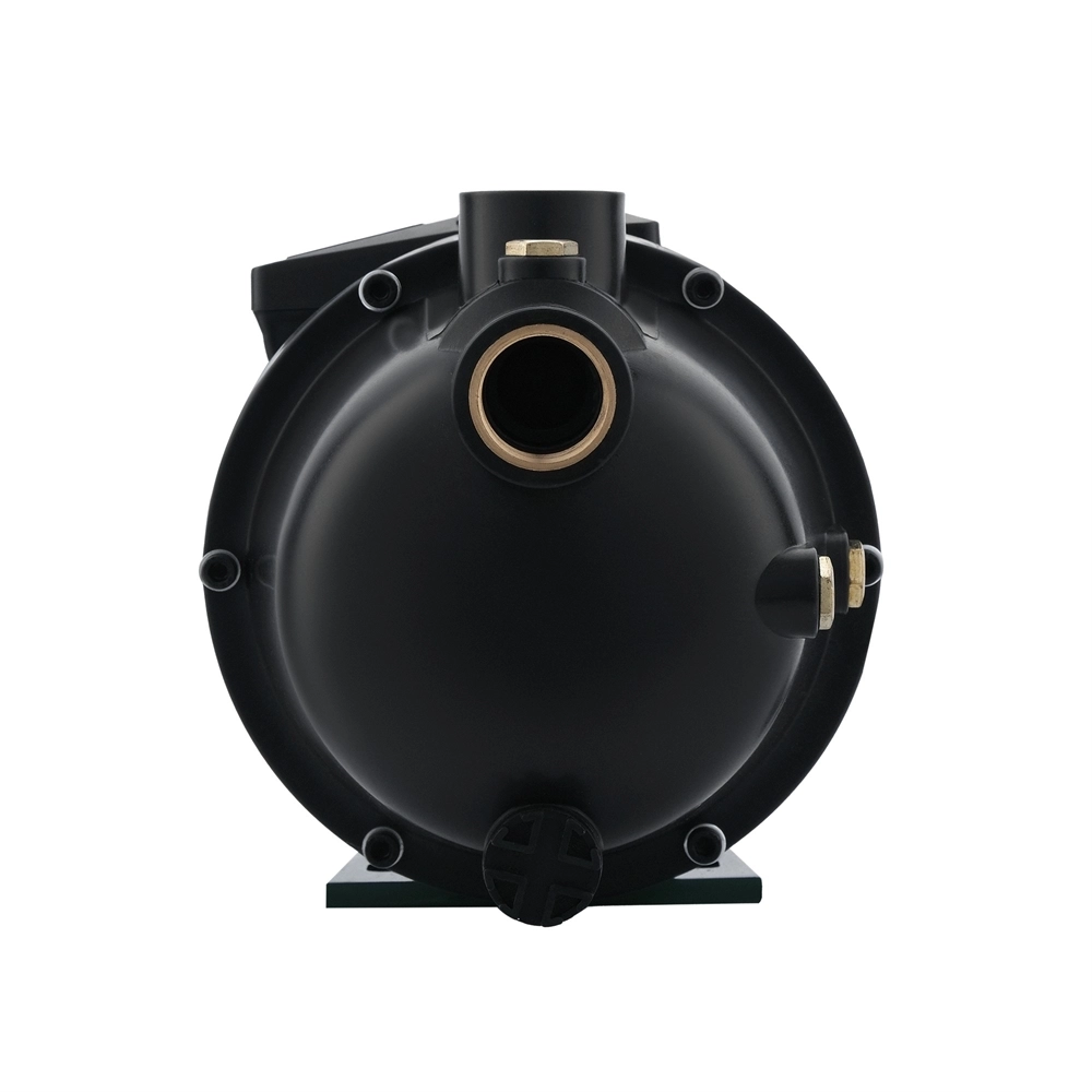 Поверхностный насос P 60/37P oasis 402
