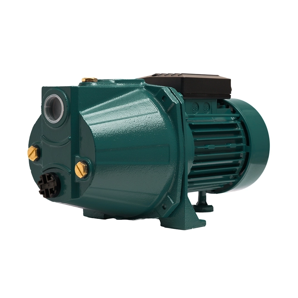 Поверхностный насос P 55/38СA oasis 408