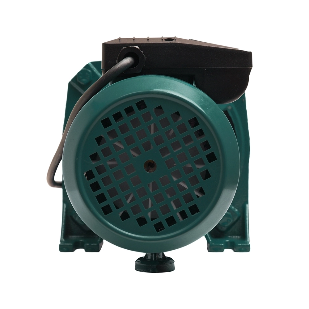 Поверхностный насос P 55/38СA oasis 408