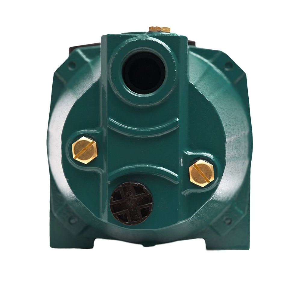 Поверхностный насос P 55/38СA oasis 408