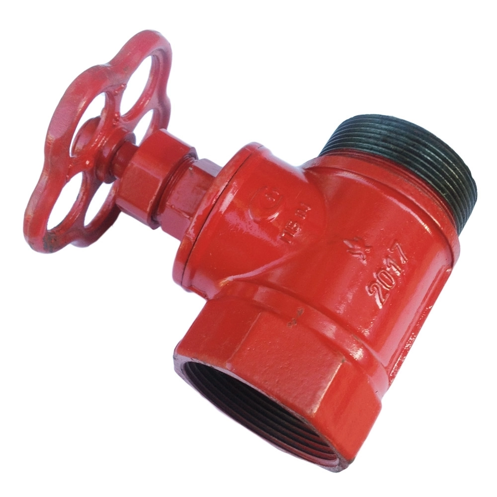 Клапан пожарный чугун прямой DN50 PN16 ВР/НР (класс гермет. А) т cт000118952