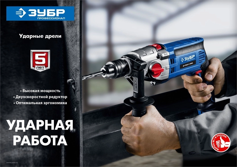 ЗУБР  850 Вт, 13 мм, 2 скорости, ударная дрель, мет. корпус, Профессионал (ДУ-П850 ЭРМ) ДУ-П850-2 ЭРМ