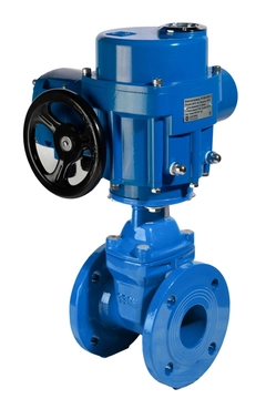 Задвижка чугунная с обрезиненным клином REON тип RSV60 с электроприводом 380В DN 125 PN16 125rsv60