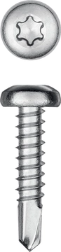 KRAFTOOL  DS-P, 19 х 3.9 мм, А2, сверло, полукруглая головка, ТХ15, 750 шт, саморез нержавеющий (300931-39-019) 300931-39-019