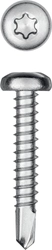 KRAFTOOL  DS-P, 32 х 4.8 мм, А2, сверло, полукруглая головка, ТХ25, 250 шт, саморез нержавеющий (300931-48-032) 300931-48-032