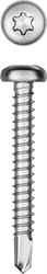 KRAFTOOL  DS-P, 38 х 4.8 мм, А2, сверло, полукруглая головка, ТХ25, 200 шт, саморез нержавеющий (300931-48-038) 300931-48-038