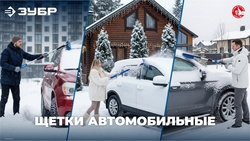 ЗУБР телескопическая щётка с поворотной головой и водосгоном от снега автомобильная, 940-1310 мм, Профессионал (61063) zb  61063