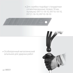 ЗУБР 100 мм, длина 300 мм, ударный скребок, Профессионал (08551) zb  8551