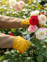 GRINDA ROSE, M (8), кожаные садовые перчатки для колючих кустарников с увеличенной крагой, усиленная ладонь и кончики пальцев, PRO Line (11303-M) zb  11303-m