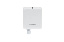 Ридан 097U0031R — Датчик (преобразователь) CO2 канальный RCD200, IP41, выходной сигнал 4-20 мА, чувствительный элемент NDIR 097u0031r