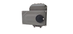 Ридан 082X4538R — Затвор дисковый PN16, DN250, диск — чугун, с электроприводом 220В 082x4538r