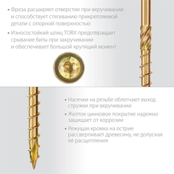 ЗУБР  КС-Т, 70 х 6.0 мм, TX30, тарельчатая головка, желтый цинк, 100 шт, конструкционный саморез, Профессионал (30051-60-070) 30051-60-070