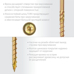 ЗУБР  КС-Т, 220 х 8.0 мм, TX40, тарельчатая головка, желтый цинк, 50 шт, конструкционный саморез, Профессионал (30051-80-220) 30051-80-220