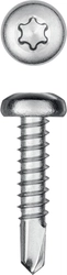 KRAFTOOL  DS-P, 19 х 4.2 мм, А2, сверло, полукруглая головка, ТХ20, 450 шт, саморез нержавеющий (300931-42-019) 300931-42-019