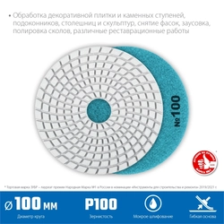 ЗУБР  100 мм, №100, мокрое шлифование, алмазный гибкий шлифовальный круг АГШК, Профессионал (29866-100) 29866-100