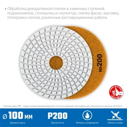 ЗУБР  100 мм, №200, мокрое шлифование, алмазный гибкий шлифовальный круг АГШК, Профессионал (29866-200) 29866-200