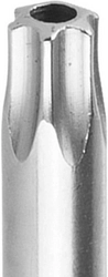 KRAFTOOL  Х-Drive, TX HOLE30 x 100, отвертка (250077-30-100) 250077-30-100
