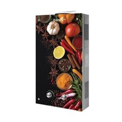 Газовый проточный водонагреватель Oasis Eco W-20 oasis 3416