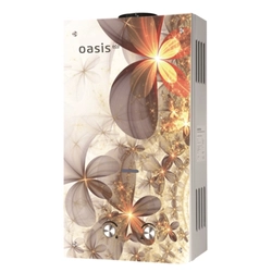 Газовый проточный водонагреватель Oasis Eco Glass B-24 oasis 65